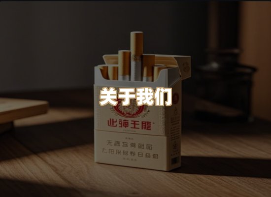 关于云歌烟网